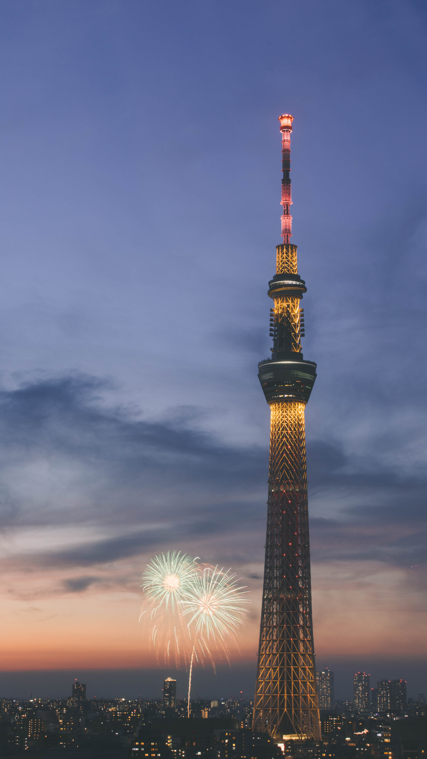 花火（緑）とスカイツリーの眺望
