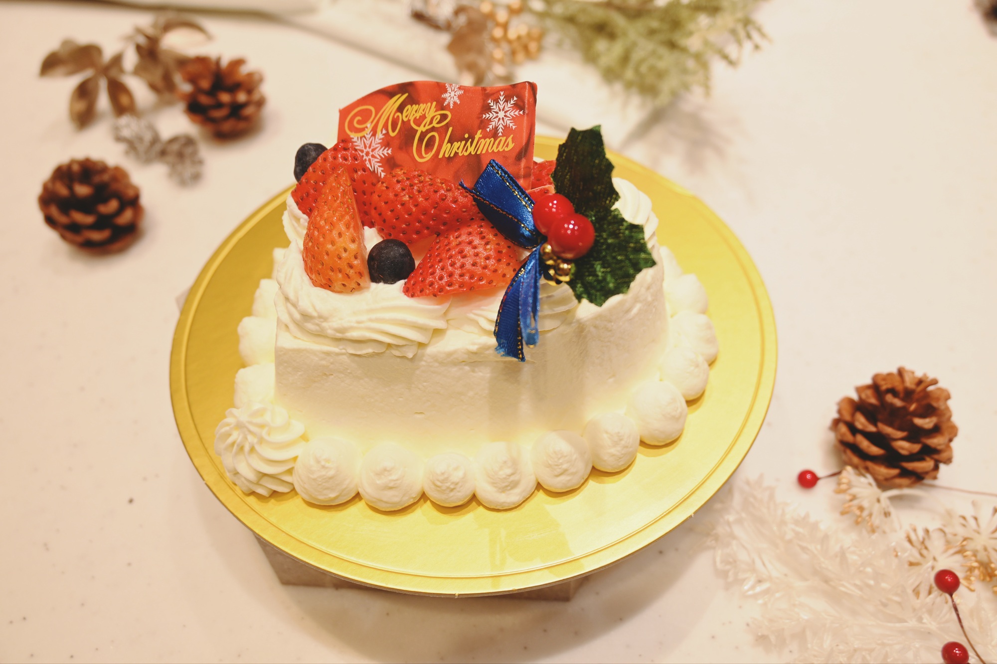 クリスマスプラン特製ケーキ2025撮影