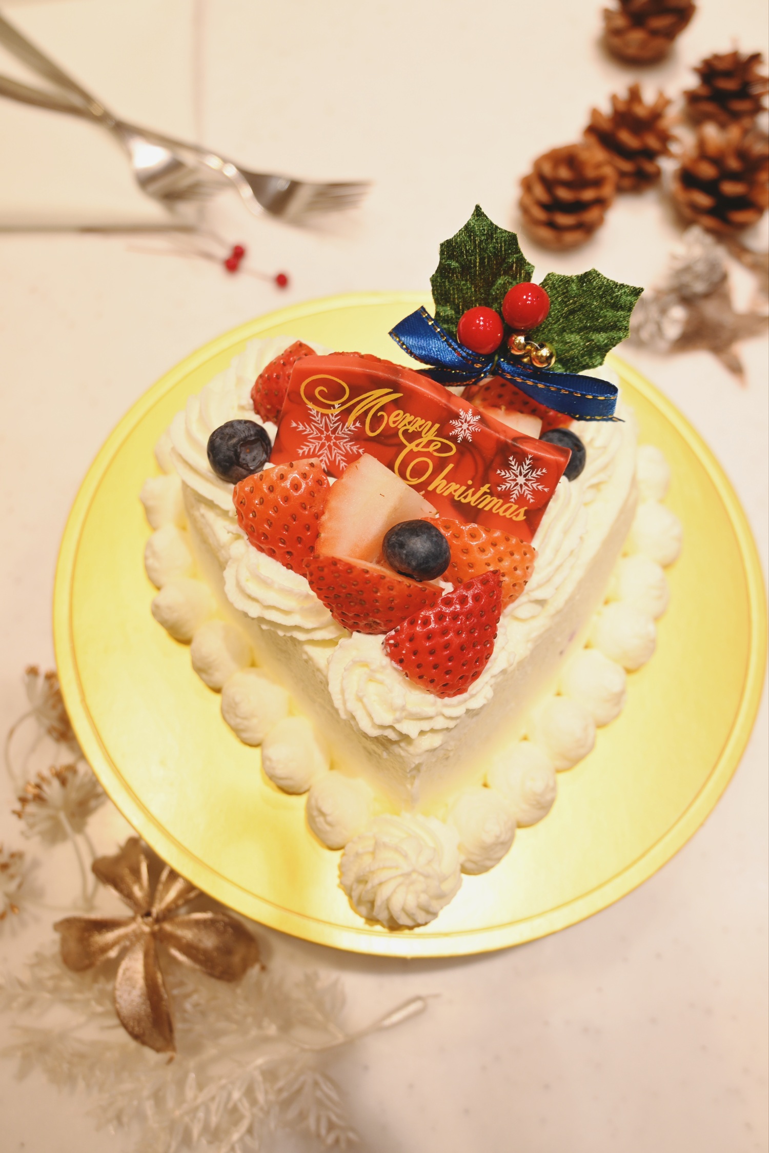 クリスマスプラン特製ケーキ縦2025撮影